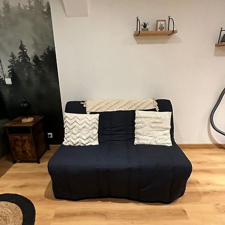 Ferienwohnung La Sapiniere Troyes Exterior foto